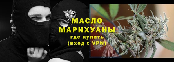 хмурый Арсеньев