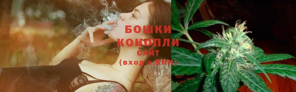 сатива Инта