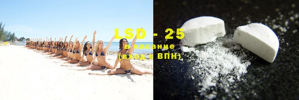 хмурый Арсеньев