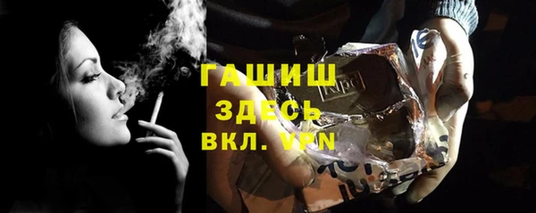 хмурый Арсеньев