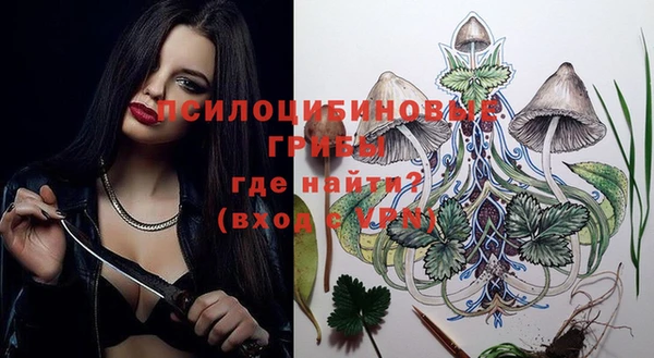 Альфа ПВП Армянск