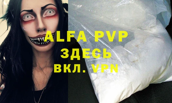 хмурый Арсеньев