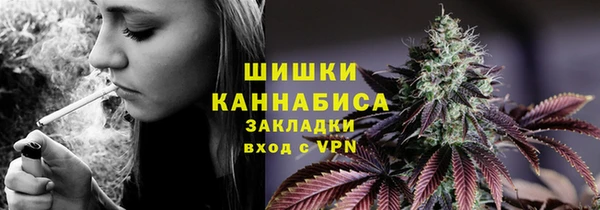 хмурый Арсеньев